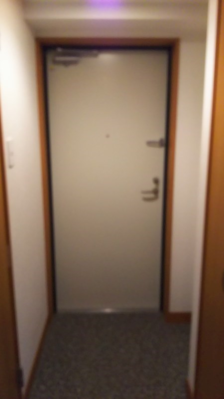 玄関　他のお部屋の写真です。