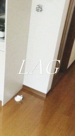 その他設備　室内洗濯機置き場です。