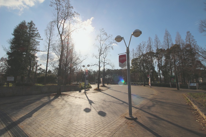公園　長居公園（公園）まで270m