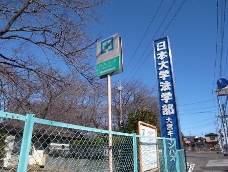 その他　日本大学法学部大宮校舎（その他）まで1m