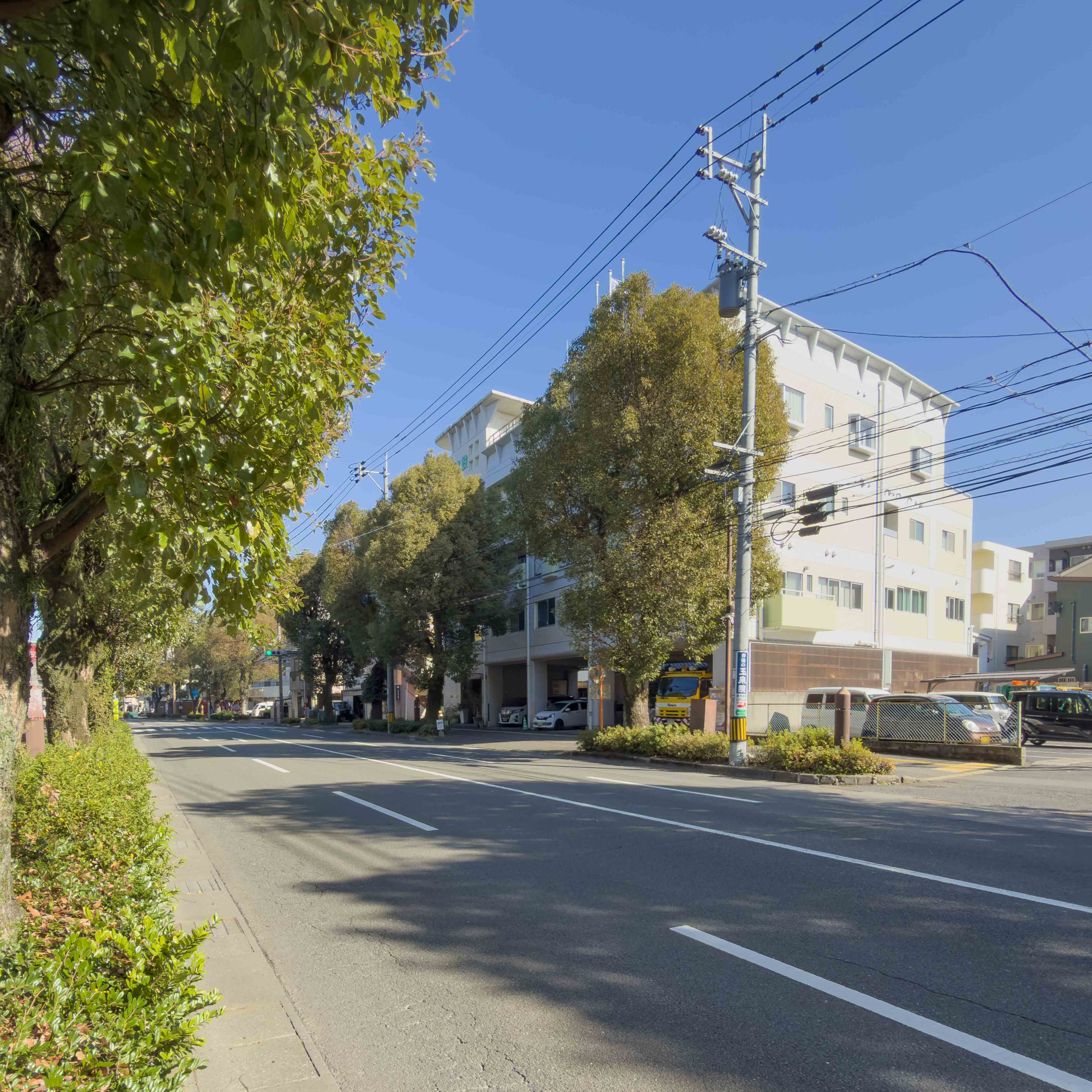 建物外観　街路樹が綺麗な高麗本通り沿いです♪