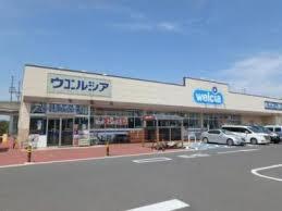 ドラックストア　ウエルシアつくば万博記念公園店（ドラッグストア）まで2529m