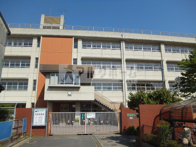中学校　柏原市立玉手中学校（中学校）まで568m