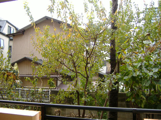 眺望　別部屋参考用写真