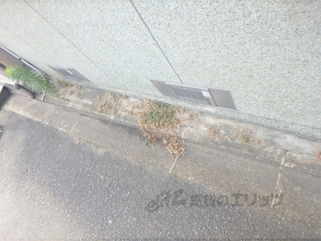 その他共有部分　植栽
