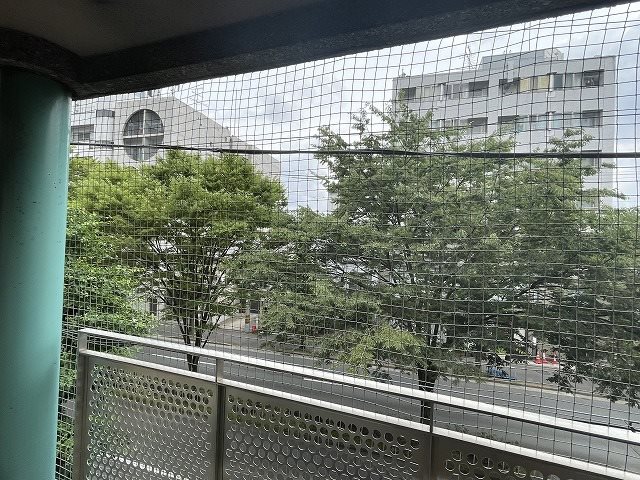 眺望　同マンション別部屋