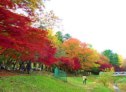 公園　都立野川公園入口（公園）まで1516m