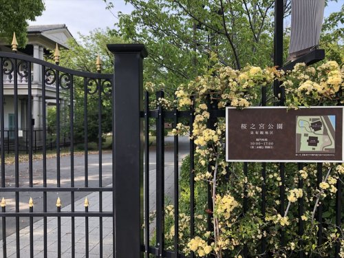 公園　毛馬桜之宮公園（公園）まで260m