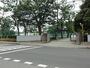中学校　柏中学校（中学校）まで496m