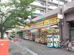 ドラックストア　どらっぐぱぱす小松川店（ドラッグストア）まで510m