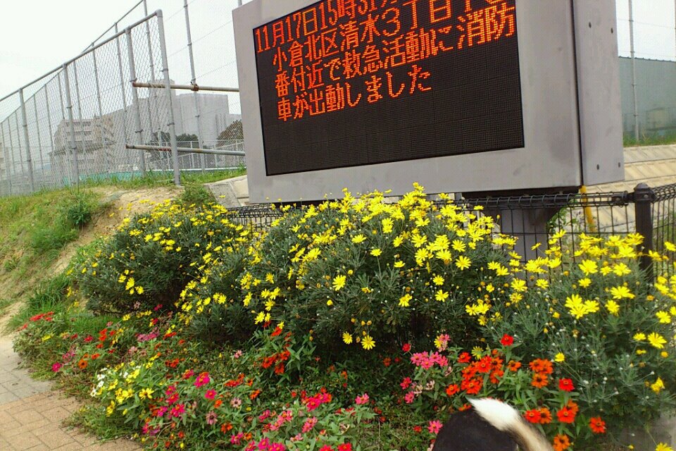 その他　【戸畑消防署】（その他）まで394m