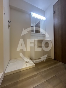 洗面設備　ダイアパレス谷町第2　洗面所