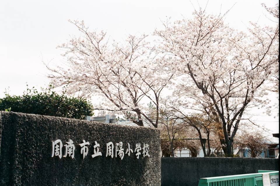 小学校　周南市立周陽小学校（小学校）まで655m