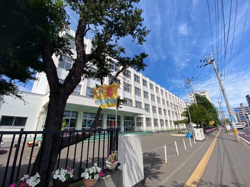 小学校　札幌市立白楊小学校（小学校）まで428m
