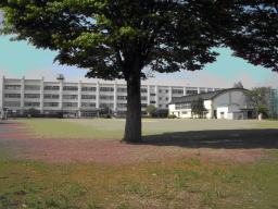 小学校　八王子市立 元八王子東小学校（小学校）まで781m