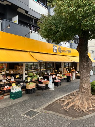 スーパー　肉のハナマサ 住吉店（スーパー）まで717m