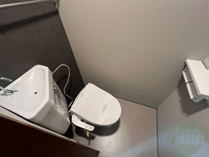 トイレ　清潔感があり安心して使用できるトイレになっておりました。