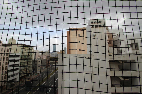 眺望　※別号室の写真です
