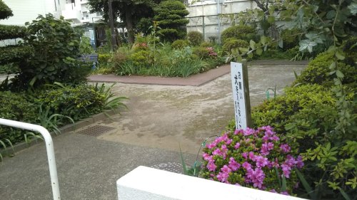 公園　四季憩いの緑地（公園）まで521m
