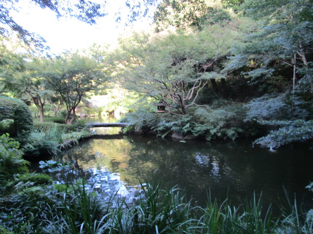 公園　徒歩５分！　池田山公園（公園）まで395m