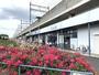 スーパー　ビッグ・エー 与野本町駅南店（スーパー）まで313m