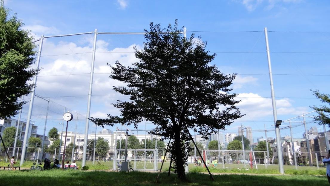 その他　本五ふれあい公園多目的運動場（その他）まで1204m
