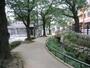 公園　北沢川緑道（公園）まで420m