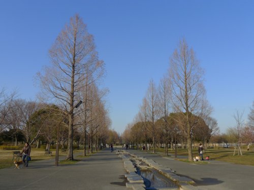 その他　舎人公園（その他）まで2296m