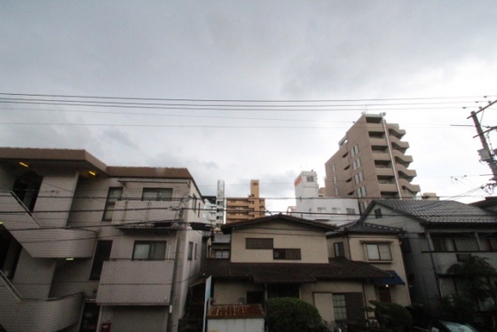 眺望　※別部屋の写真です