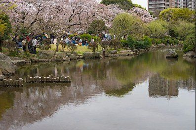 公園　隅田公園の花見（公園）まで1029m