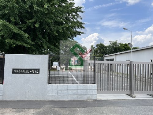 オーキッドの周辺写真