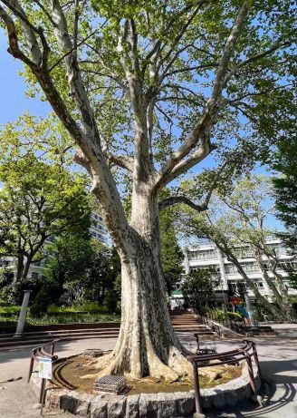 公園　四谷見附公園（公園）まで1855m