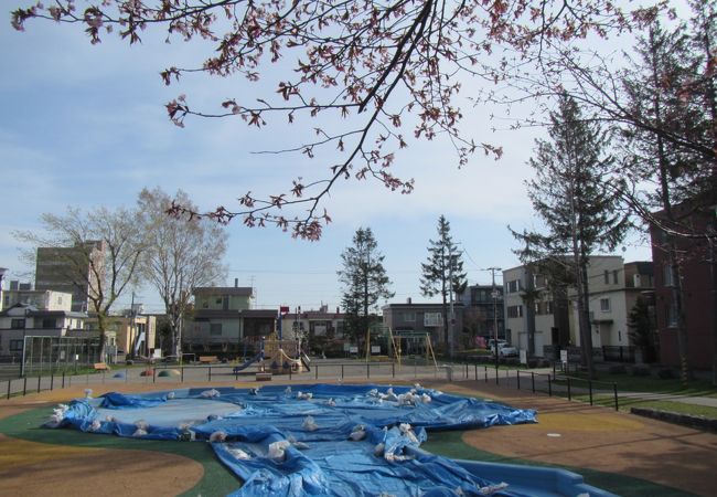 公園　万生公園（公園）まで791m