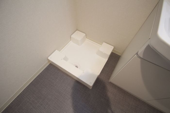 ホーリーホックのその他写真