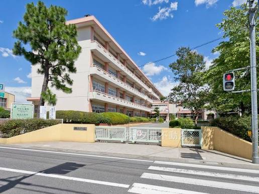 東武野田線 七里駅 徒歩11分 2階建 築3年の周辺写真