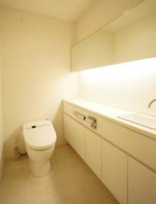 赤坂タワーレジデンス Top of the Hillのトイレ写真