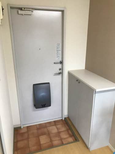 玄関　キッチン周り