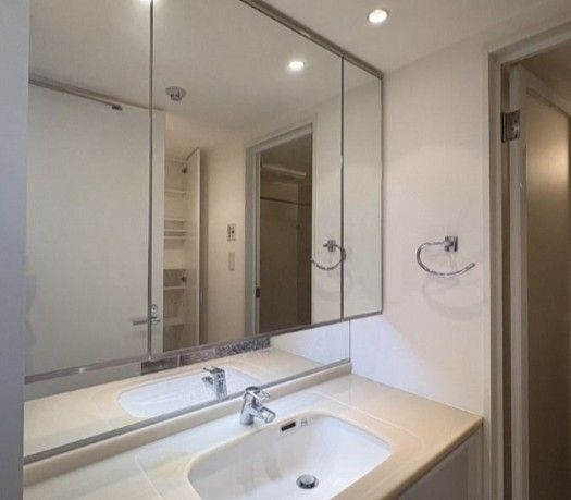 洗面設備　参考写真：別部屋タイプ