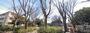 公園　さかい西公園（公園）まで505m