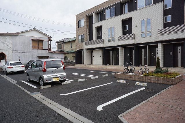 プリムローズのその他写真