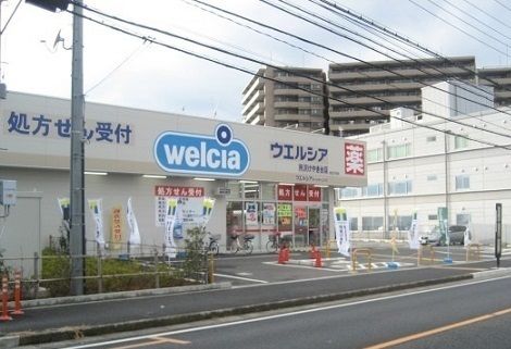 プリムローズの周辺写真