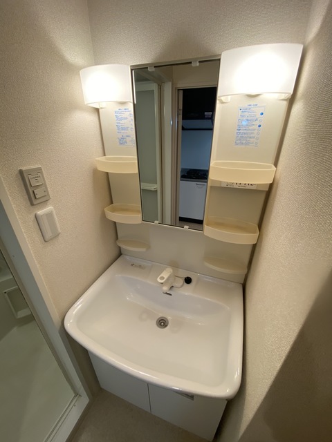 洗面設備　大きな洗面ボウルで朝のスタイリングもはかどりますね。