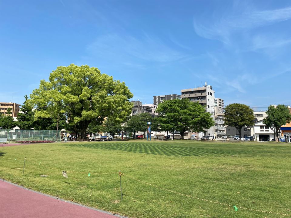 【ＧＲＡＮＶＥＲＤＥ　ＵＥＮＯＳＯＮＯの公園】