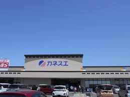スーパー　カネスエ新生店（スーパー）まで1466m