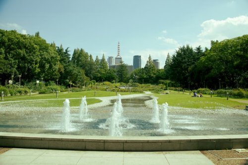 【大阪市西区立売堀のマンションの公園】