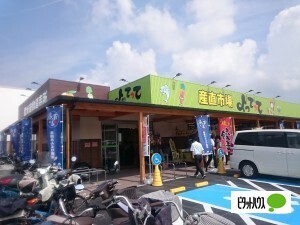 スーパー　産直市場よってって狐島店（スーパー）まで566m