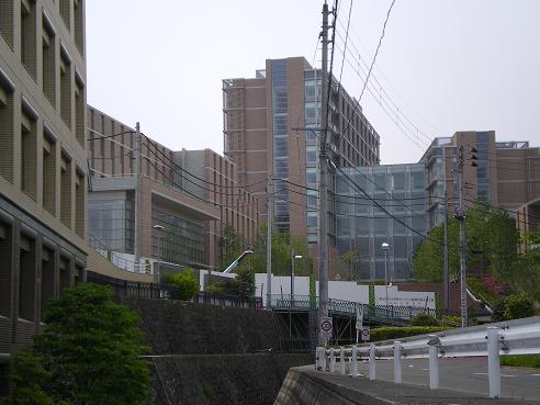 大学・短大　私立東北薬科大学（大学・短大）まで1207m