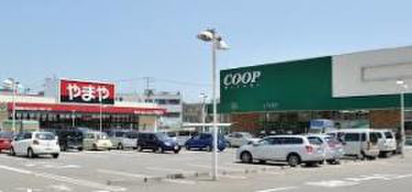 スーパー　ＣＯＯＰ榴岡店（スーパー）まで295m