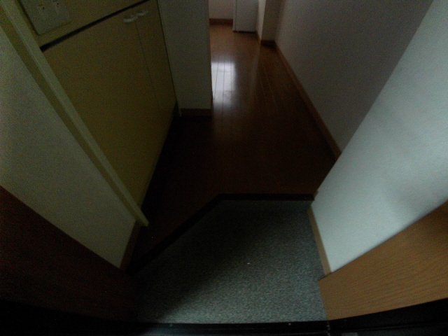 玄関　落ち着いた玄関です