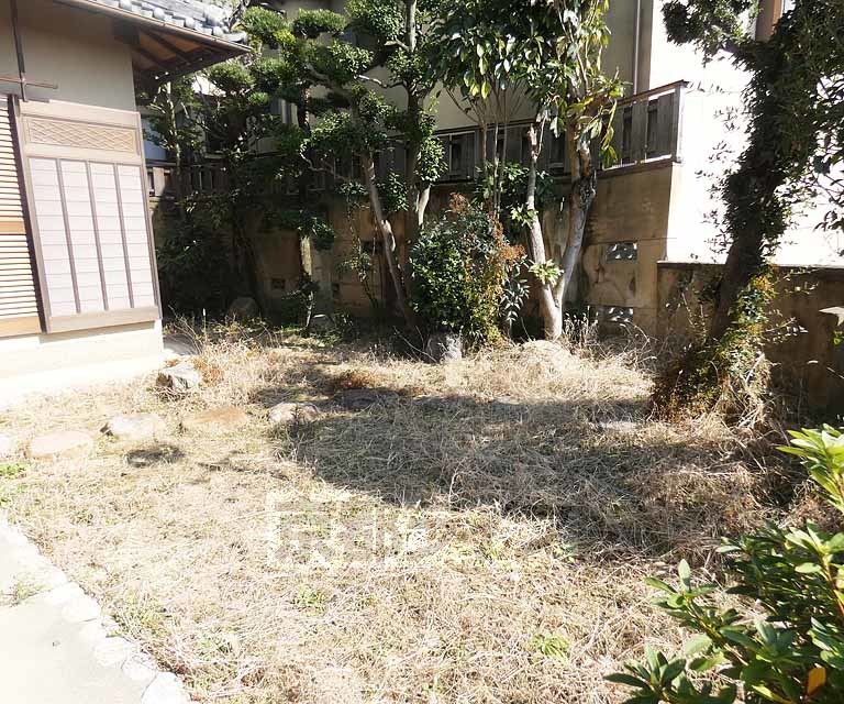 庭　広めの庭です。